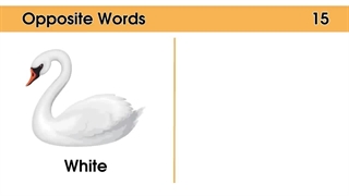 کلمات انگلیسی متضاد پرکاربرد