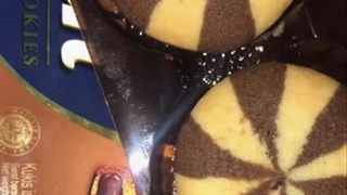 ولی های بای>>>>