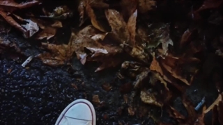 ⋆We fall in love in October