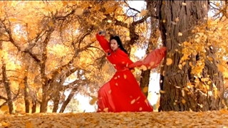 نبرد ماه با برف پرنده ( فیلم قهرمان )