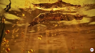 تست و معرفی درگ 4 | قوی‌ترین ویپ و پادماد سال از Voopoo