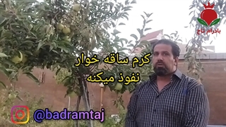 راهکار مقابله با کرم خراط