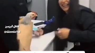 برای زنش ساندویچ مرغ سفارش داده