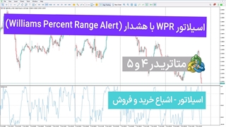 اسیلاتور WPR با هشدار (Williams Percent Range Alert) برای متاتریدر 4/5 - تریدینگ فایندر
