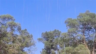 ذهن قدرتمند بزرگترین ثروتته