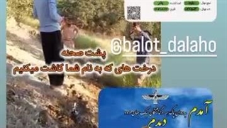 کاشت نهال بلوط بنام زنده یاد کوروش داورپناه ۳