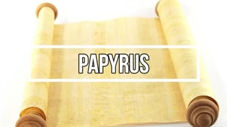 How Ancient Egyptians Made Papyrus | Step-by-Step for Kids!