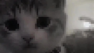 "چــشـــمـــک"