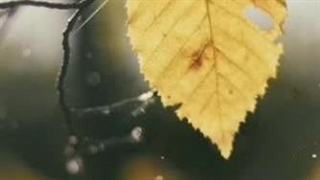 خیلی ممنونم از عزیزانی که اسمشون تو کپشن هست و پیشم هستن/ مینی های درخواستی هم لطفا اینجا بگید