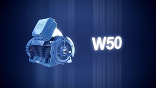 الکتروموتور وگ (weg)