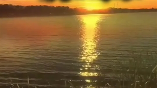 کتاب گزارشی از آخرین وضعیت بشری