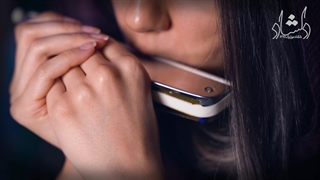 تست صدا سازدهنی کروماتیک تاور