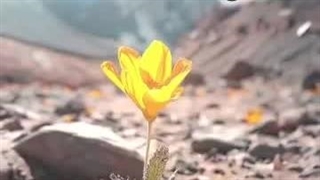 ایدز HIV حقایقی از 1980 تا امروز ؛ عشق غیرمتعهد و نابودی رابطه انسانی