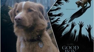 فیلم سینمایی پسر خوب با زیرنویس فارسی