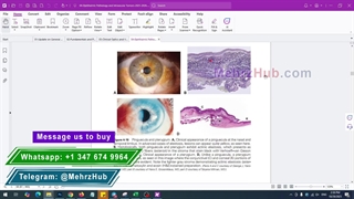 AAO BCSC 2025–2026 (13-Volume Original PDF Set)