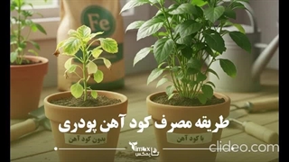 طریقه مصرف کود آهن برای درخت