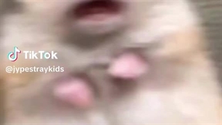 Hiiiii ~~~~ حرف بزنیم