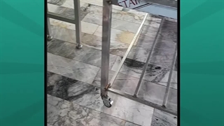 دستگاه بسته بندی ساندویچ سرد؛ بهداشت، سرعت و ظاهر حرفه‌ای در یک دستگاه