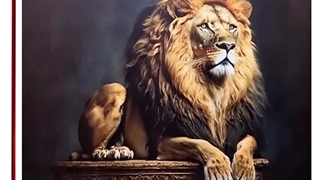 دکورآفیس فروشگاه اینترنتی فروش انواع تابلو