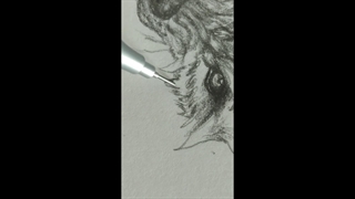 این چطوره دوستان؟؟؟