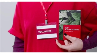 طراحی بروشور