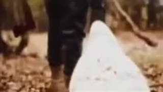 جنجال تور هالووین در جنگل‌های ایران