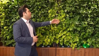 دیوار سبز - گرین وال - اجرای دیوار سبز طبیعی - zwood