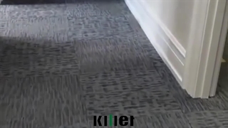 زیبایی‌ای که زیر پات نفس می‌کشه | موکت کفپوش تایل