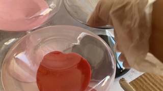 ساعت شنی بزرگ دکوری مدل کلاسیک 10 دقیقه ای