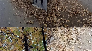 ✨پاییز و زیبایی خاصش✨