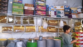 شهر پسته عابدینی