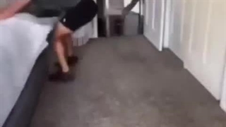 دعوا های داداشا