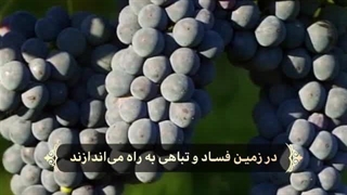 روزی بندگان - سوره شوری آیات ۲۷ الی ۳۰ (قرآن مهر)