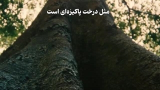 سخن پاک - سوره ابراهیم آیات ۲۴ الی ۲۷ (قرآن مهر)