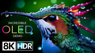 کیفیت باورنکردنی Dolby Vision™ 8K HDR با نرخ ۶۰ فریم بر ثانیه | ویدیوی 8K با کیفیت Ultra HD