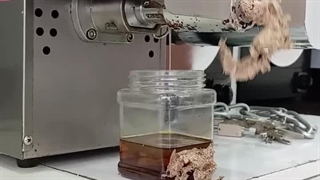 تعمیر روغن گیری کنجد عطاری دستگاه روغن گیری ۵۵۰ وات