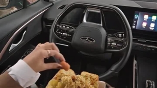 مرغ کنتاکی بابل