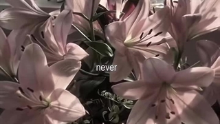 گل لیلیومـ، کپشنـ‌اختیاریـ؛)