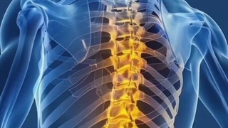 دکتر علی دشتی ارتوپد بابل