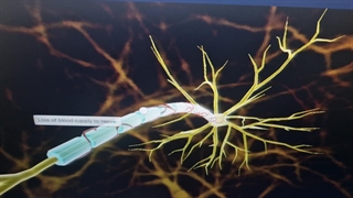 سلام نظرتون راجبه آپلود ویدیو های کتاب خوانی ، چیه؟ مثلا hunger games?!