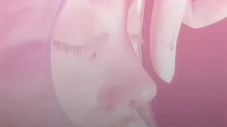 عمل انحراف بینی در کلینیک مسیح