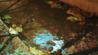 کافه کتاب اثر در مشهد