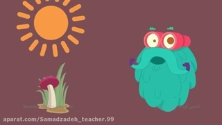 علوم تجربی چهارم دبستان | درس سیزدهم: زیستگاه | زنجیره‌ی غذایی