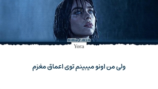 لیریک فارسی آهنگ Wildflower از بیلی آیلیش (BILLIE EILISH) +متن کد گزاری شده رنگی «Color Coded Lyrics»