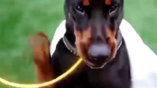 سریال عشق نمایشی قسمت 1