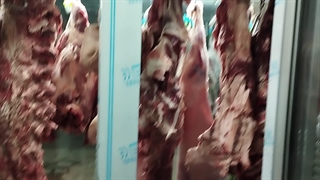 هایپرگوشت زاینده رود