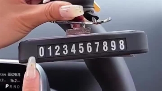 پاندا اسکیت سوار