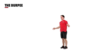 Burpee