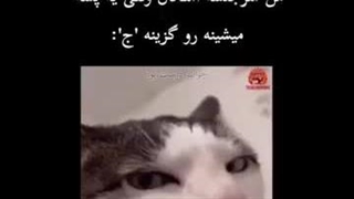 وایای این منمممم