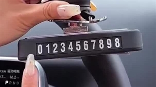 پاندا اسکیت سوار